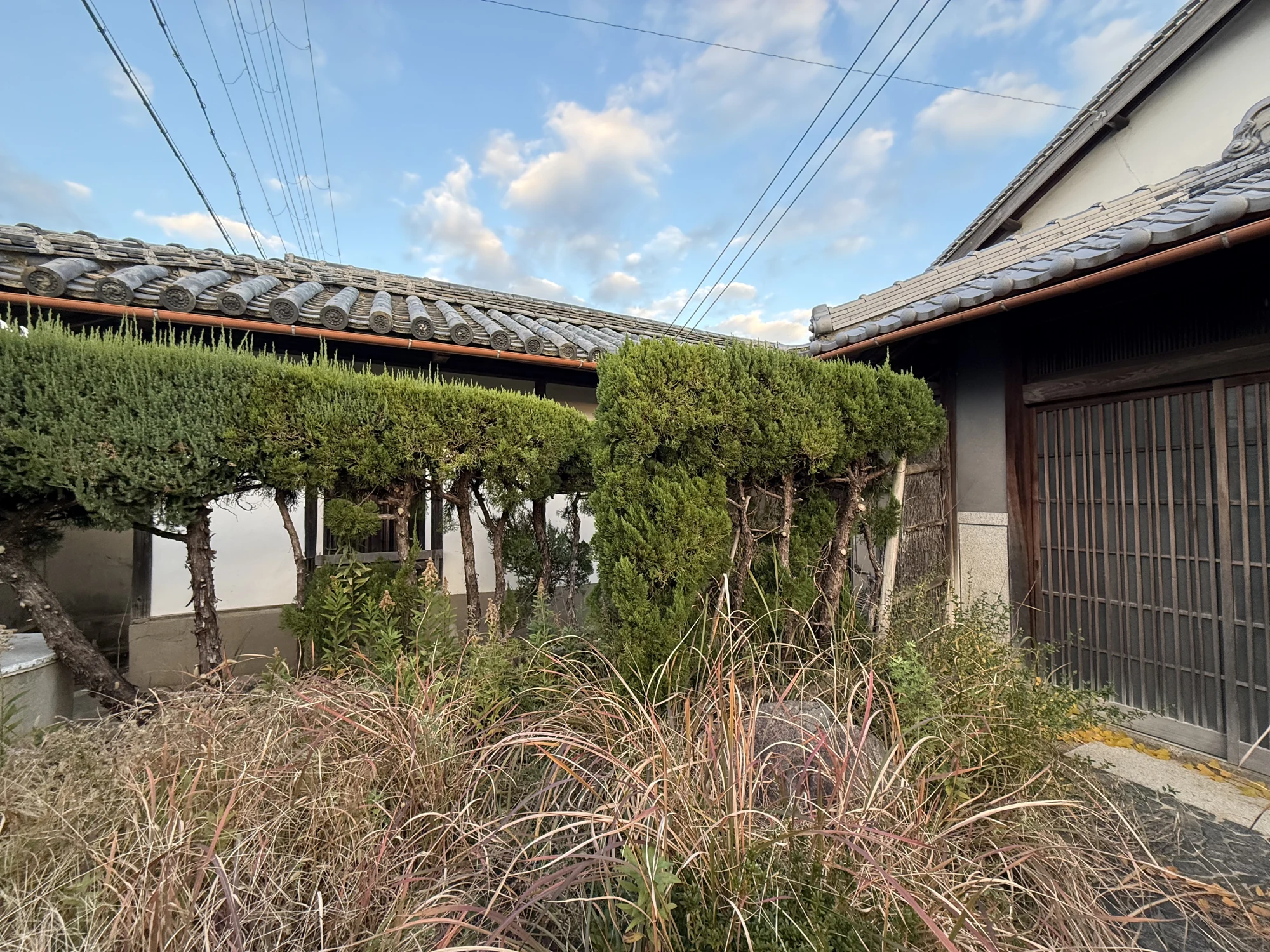 建物と庭