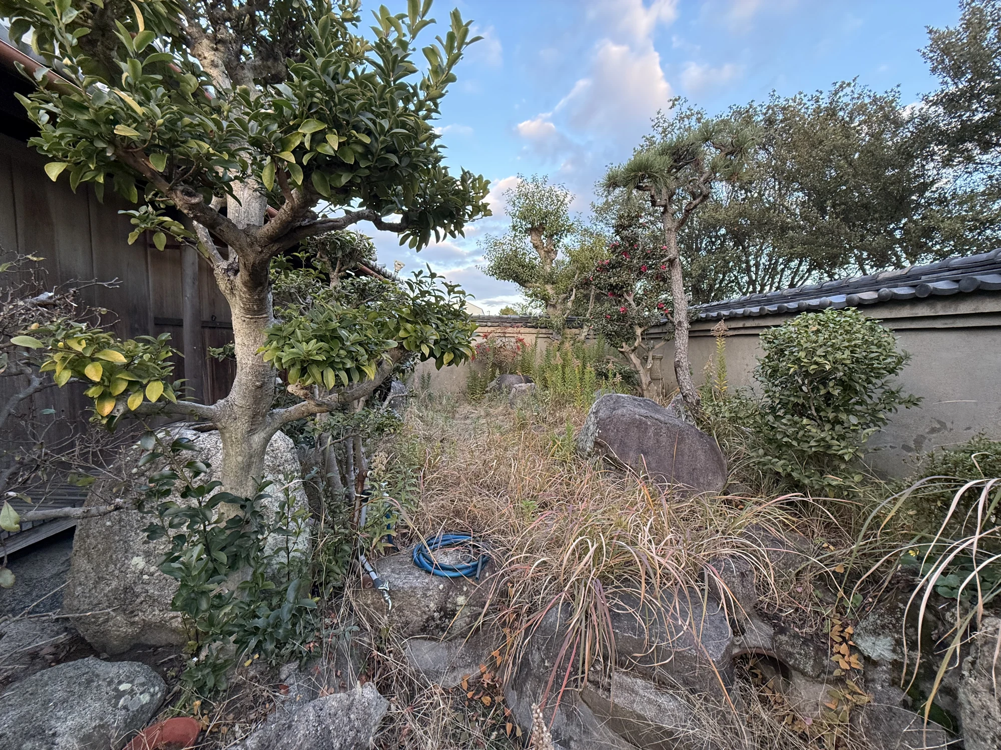 庭の石組みと植栽