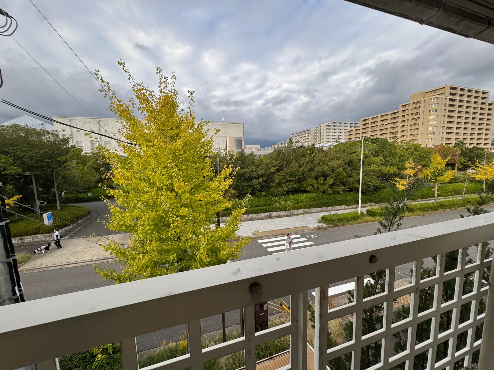神戸市西区学園西町 室内写真13