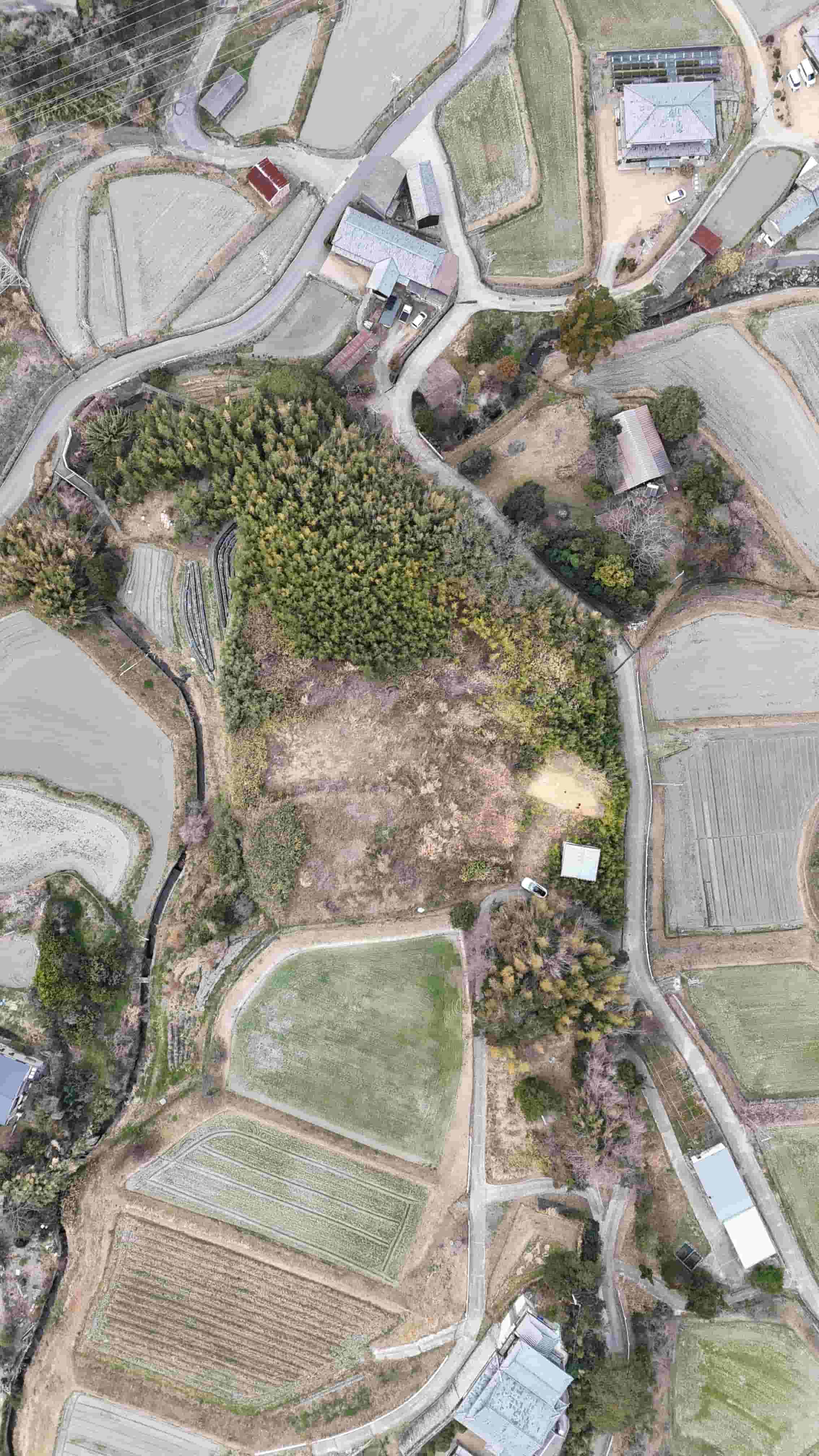 淡路市浅野南1141 売土地 現地写真5