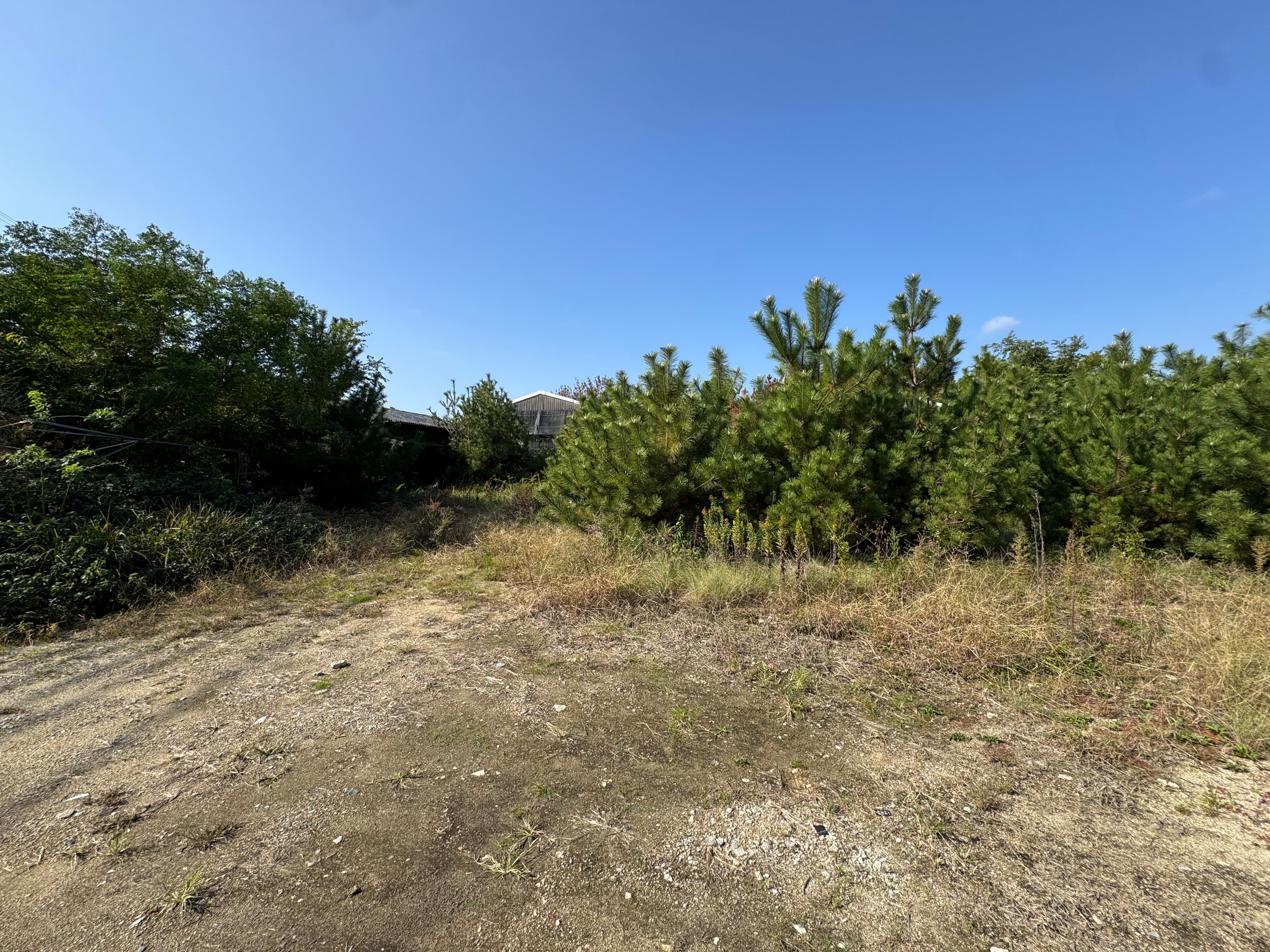 淡路市尾崎1686 写真5